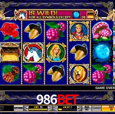 Descubra o Mundo do Cassino Online com 986bet